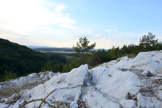 Fotowettbewerb des Landschaftspflegeverbands S&uuml;dharz-Kyffh&auml;user (Foto: Thomas Stephan)