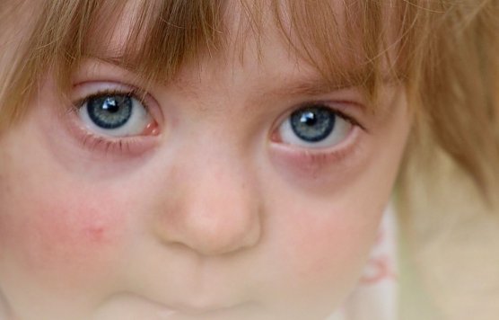 Anna f&auml;hrt nach &Ouml;sterreich (Foto: Eva Maria Wiegand)