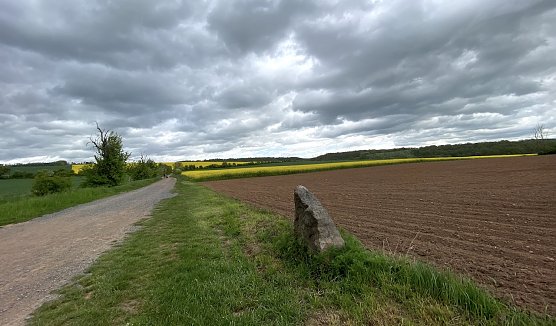 In der Windlücke (Foto: oas) In der Windlücke (Foto: oas)
