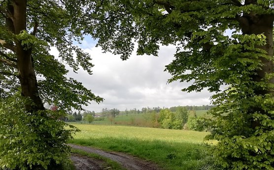 Blick auf Sophienhof (Foto: W.J&ouml;rgens)