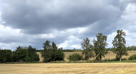 Das regnerische Wetter endet morgen (Foto: oas)