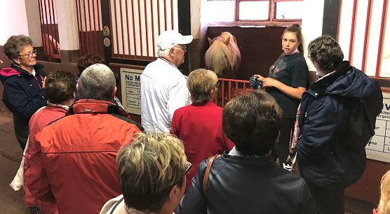 F&uuml;hrung durch das Haflingergest&uuml;t in Meura (Foto: M.Rasch)