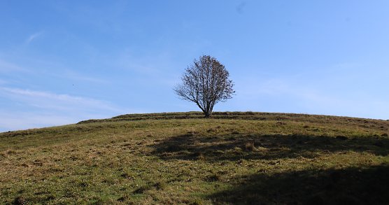 Bei Benneckenstein (Foto: oas)