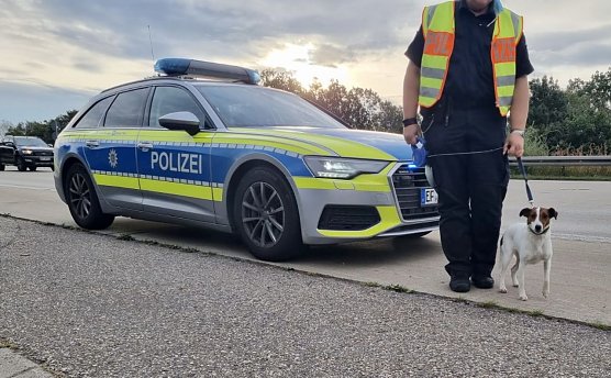 Bella ist wohlbehalten zurück von der Rennstrecke (Foto: API) Bella ist wohlbehalten zurück von der Rennstrecke (Foto: API)