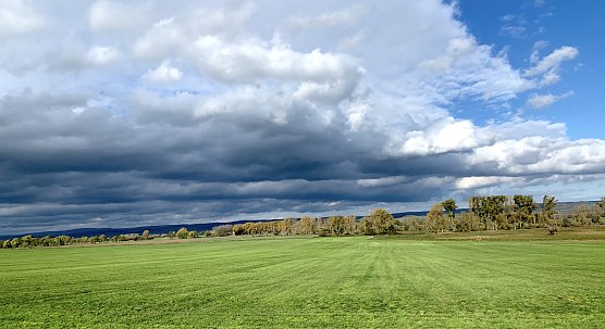 Herbstimpression bei Auleben (Foto: oas)