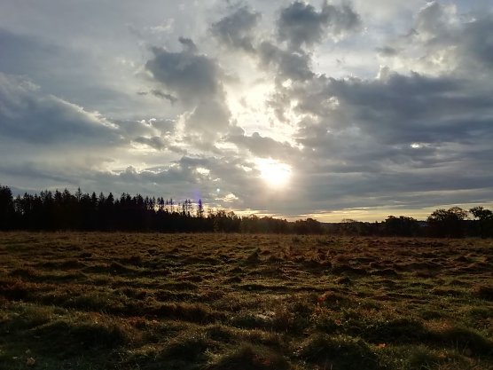 Bei Sophienhof begl&uuml;ckte uns der Herbst heute morgen noch mit Sonnenschein (Foto: W. J&ouml;rgens)