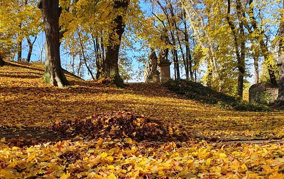 Bunte Laubf&auml;rbung im Schlosspark Ebeleben (Foto: Katja Marsell)