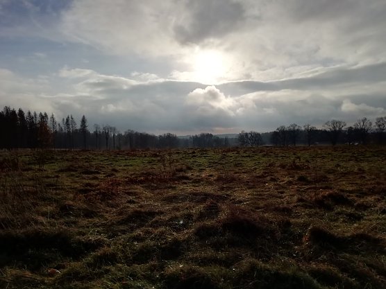 In Sophienhof zeigte sich der Herbst heute auch von seiner sch&ouml;nen Seite (Foto: W. J&ouml;rgens)