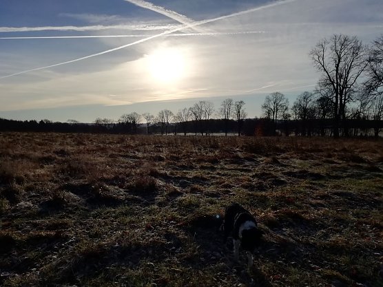Frost in den Hochlagen bis weit in den Vormittag (Foto: W.Jörgens) Frost in den Hochlagen bis weit in den Vormittag (Foto: W.Jörgens)