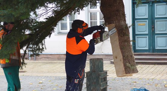 Mitarbeiter der Stadtwerke Bad Frankenhausen stellen Weihnachtstanne vor dem Frankenh&auml;user Rathaus auf (Foto: Stadtmarketing Bad Frankenhausen)