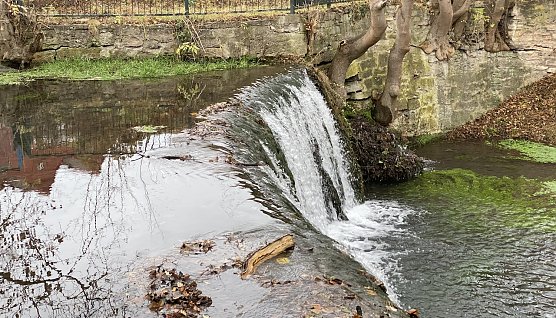 An der Salza in Bad Langensalza (Foto: oas)