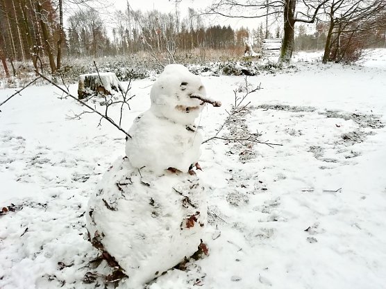 In Sophienhof liegt schon genug weiße Pracht für winterliche Freuden (Foto: W. Jörgens) In Sophienhof liegt schon genug weiße Pracht für winterliche Freuden (Foto: W. Jörgens)