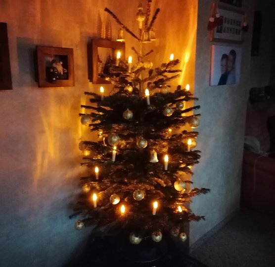 Gemütlichkeit in der Vorweihnachtszeit (Foto: G. Neumann) Gemütlichkeit in der Vorweihnachtszeit (Foto: G. Neumann)