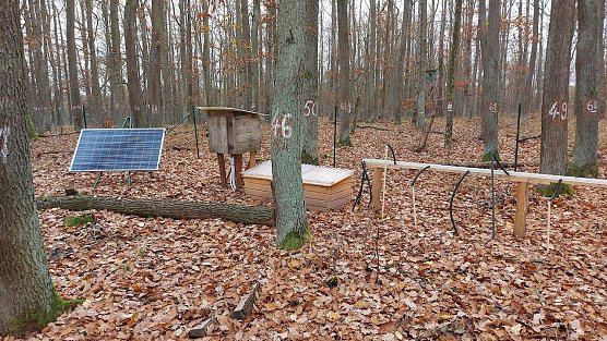 Eine der insgesamt 15 Waldmessstationen der Th&uuml;ringenForst-A&ouml;R (Foto: Ines Chmara)