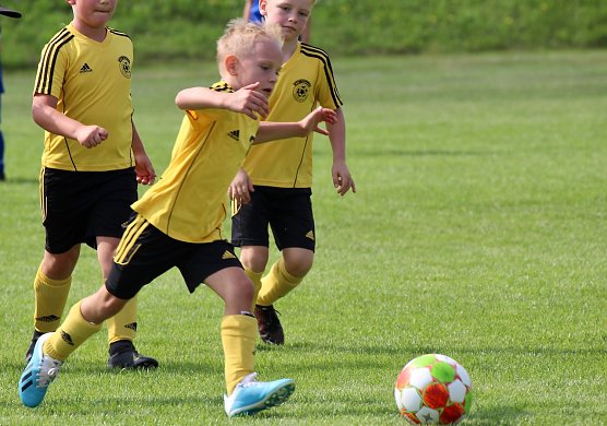 Nachwuchs beim BSV Eintracht in Sondershausen  (Foto: Eva Maria Wiegand)