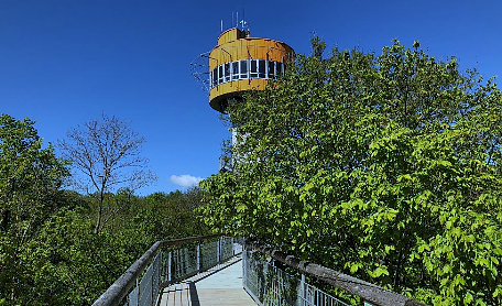 Der Baumkronenpfad im UNESCO-Weltnaturerbe Nationalpark Hainich startet in die Saison (Foto: KTL) Der Baumkronenpfad im UNESCO-Weltnaturerbe Nationalpark Hainich startet in die Saison (Foto: KTL)