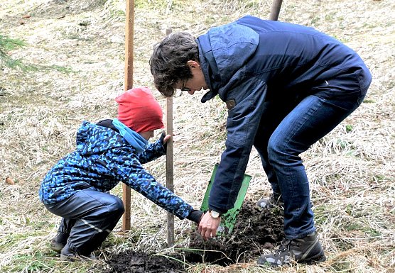 Fr&uuml;hjahrsaufforstung - Helfende H&auml;nde gesucht (Foto: Horst Spro&szlig;mann)