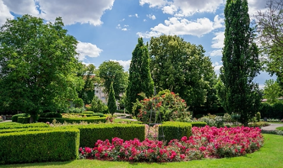 Der Rosengarten in voller Bl&uuml;te (Foto: KTL)