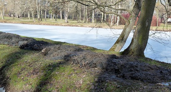 Entschlammung M&uuml;hlwipper (Foto: Karl-Heinz Herrmann)