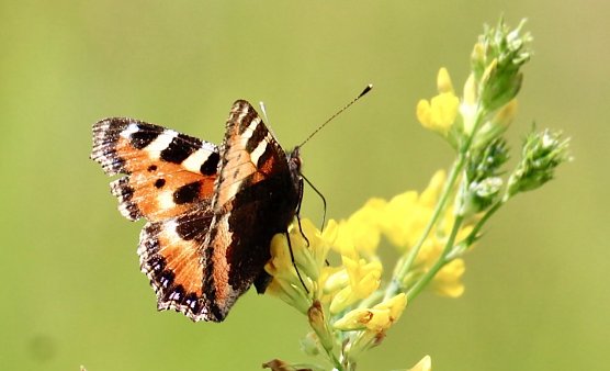 Fr&uuml;hling (Foto: Eva Maria Wiegand)