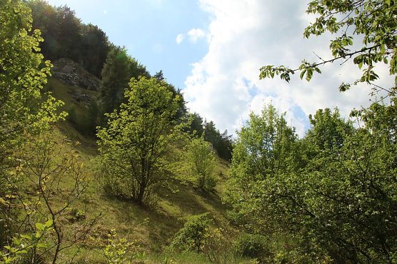 Wetterbild (Foto: agl)
