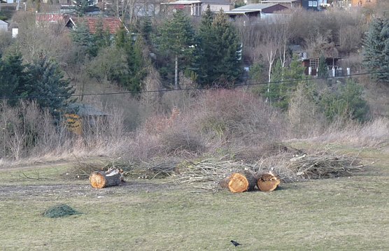 Winterwetter 2 (Foto: Karl-Heinz Herrmann) Winterwetter 2 (Foto: Karl-Heinz Herrmann)