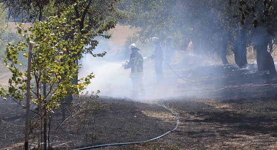 Fl&auml;chenbrand zwischen Klein und Gro&szlig;furra (Foto: S.Dietzel)