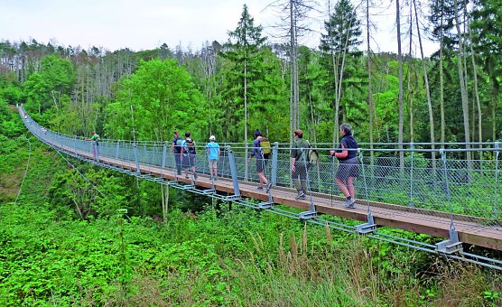 Teilnehmende auf der H&auml;ngeseilbr&uuml;cke in der Hohe Schrecke (Foto: Hans Sch&ouml;newolf)