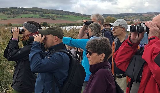 Beobachtung von Kranichen und anderen seltenen Vögeln (Foto: S.Staubitz) Beobachtung von Kranichen und anderen seltenen Vögeln (Foto: S.Staubitz)