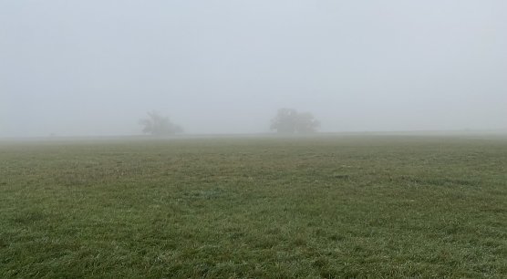 Vielerorts in Thüringen nachts und am Morgen neblig (Foto: oas) Vielerorts in Thüringen nachts und am Morgen neblig (Foto: oas)