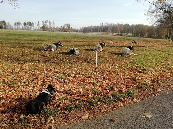 So l&auml;sst sich der Herbst aushalten - milde war es heute morgen auch in Sophienhof (Foto: W. J&ouml;rgens)