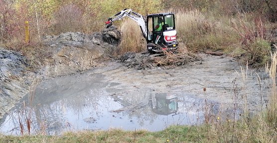 Mit Hilfe eines  Minibaggers wurden unter fachlicher Anleitung mehrere Kleinstfeuchtbiotope renaturiert (Foto: Steffen Kambach)
