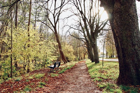 Wetterbild (Foto: agl)