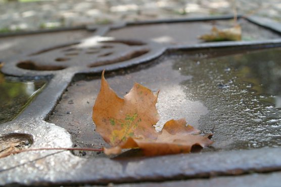 Wetterbild (Foto: wirsinds)