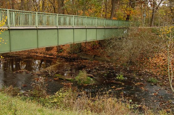 Niedrigwasser in der Zorge, 09. November (Foto: agl) Niedrigwasser in der Zorge, 09. November (Foto: agl)