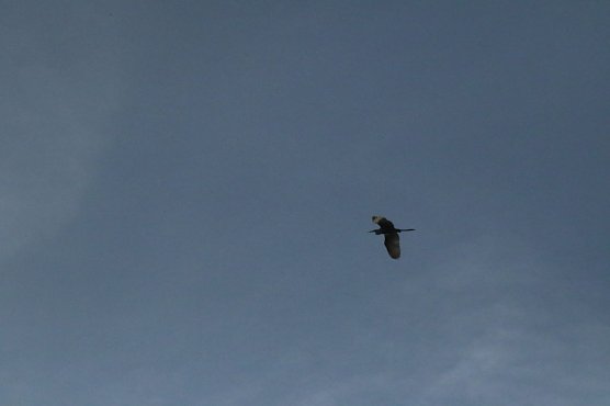 Wetterbild (Foto: agl)