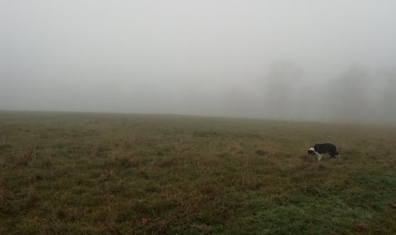 Im Harz ist heute nicht allzu viel zu sehen (hier: Sophienhof) (Foto: W. Jörgens) Im Harz ist heute nicht allzu viel zu sehen (hier: Sophienhof) (Foto: W. Jörgens)