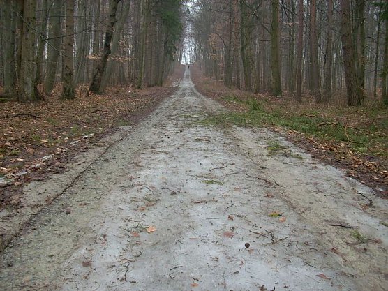 20. Possenlauf (Foto: Karl-Heinz Herrmann)