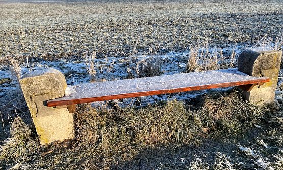 Morgenfrost (Foto: Hans-Georg Schulze)