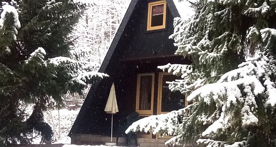 Momentaufnahme im Advent (Foto: Rosalinde Frank) Momentaufnahme im Advent (Foto: Rosalinde Frank)