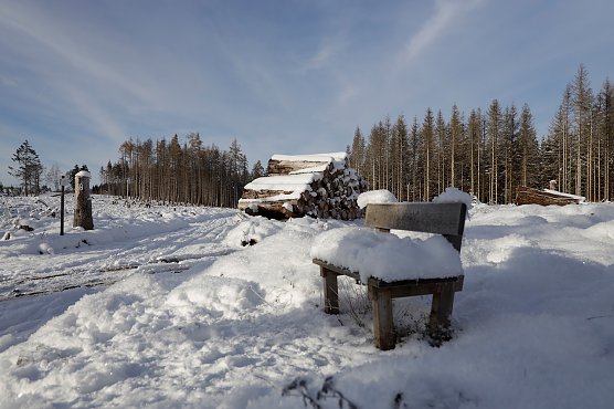 Schneelandschaft in er N&auml;he des Sophienhofs (Foto: Marion Wieland)