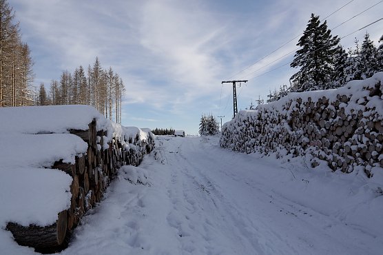 Schneelandschaft in er N&auml;he des Sophienhofs (Foto: Marion Wieland)
