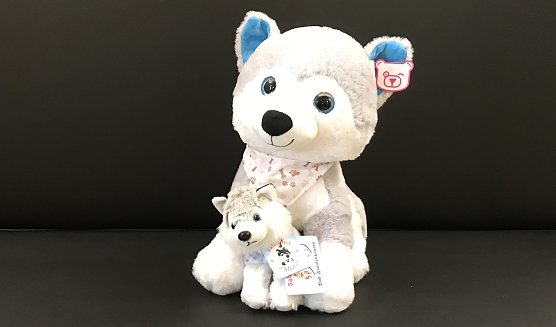 MUTZ der Salzhund hat Geburtstag (Foto: Eva Maria Wiegand) MUTZ der Salzhund hat Geburtstag (Foto: Eva Maria Wiegand)