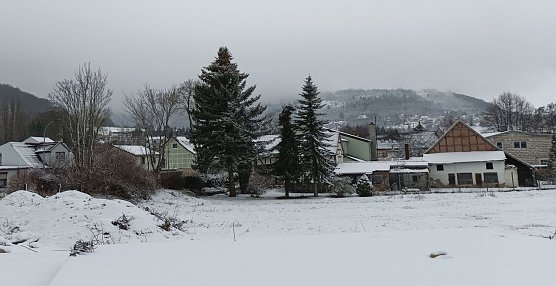Blick auf den Frauenberg (Foto: T.Leipold)