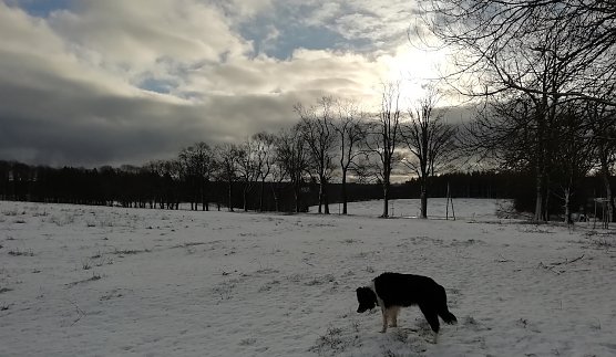 Minus 1 Grad, kaum Wind und gutes Wanderwetter verspricht heute Th&uuml;ringens n&ouml;rdlichster Punkt in Sophienhof  (Foto: W.J&ouml;rgens)