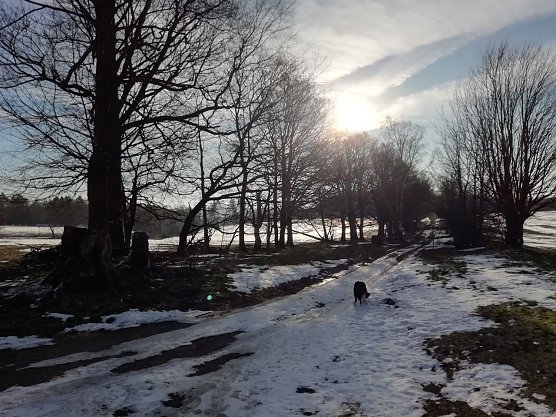 Die Sonne zeigt sich in den nächsten Tagen seltener (Foto: W. Jörgens) Die Sonne zeigt sich in den nächsten Tagen seltener (Foto: W. Jörgens)