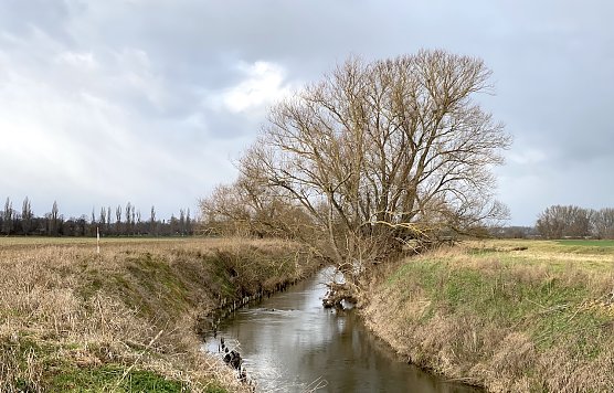 Meteorologen bescheinigen einen zu warmen Februar. Hier an der Unstrut (Foto: oas)