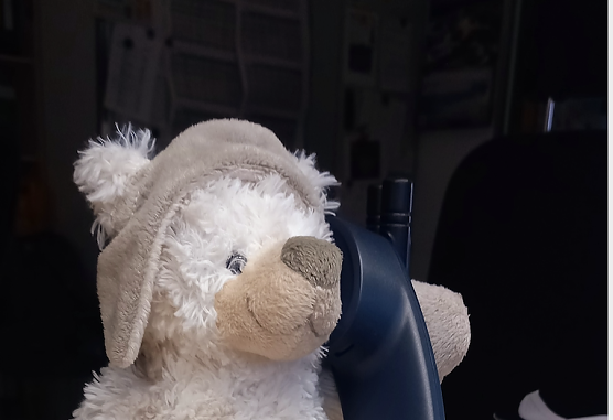 Der Vermisste Plüscheisbär (Foto: Landespolizeiinspektion Nordhausen) Der Vermisste Plüscheisbär (Foto: Landespolizeiinspektion Nordhausen)