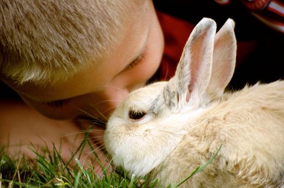 Wir suchen die sch&ouml;nsten Osterfotos (Foto: Eva Maria Wiegand)