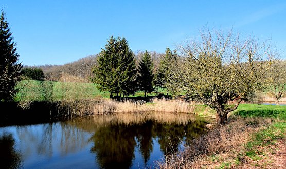 Am Rosenteich (Foto: Peter Blei)